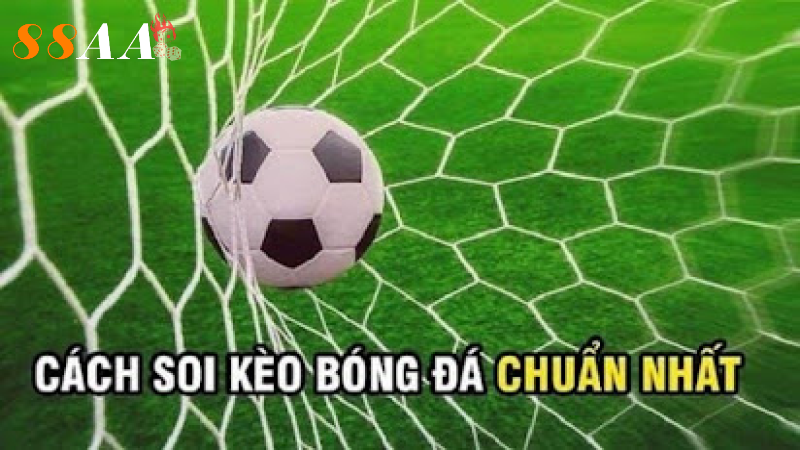Cách tận dụng thông tin từ các nhà cái và cộng đồng