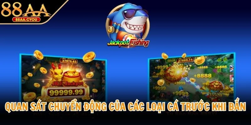 Quan sát chuyển động của các loại cá trước khi thực hiện bắn