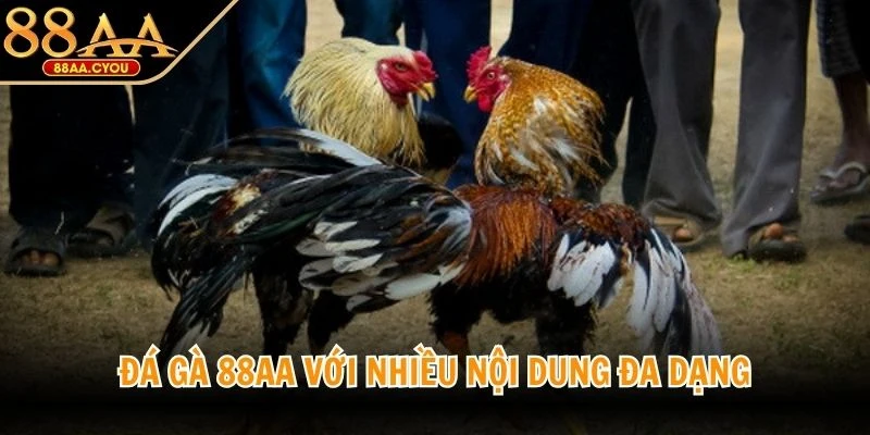 Đá gà 88AA với nhiều nội dung đa dạng