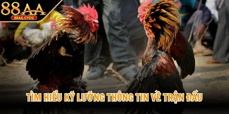 Tìm hiểu kỹ lưỡng thông tin về trận đấu